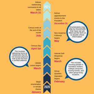 2020 Census Timeline: The Rollout