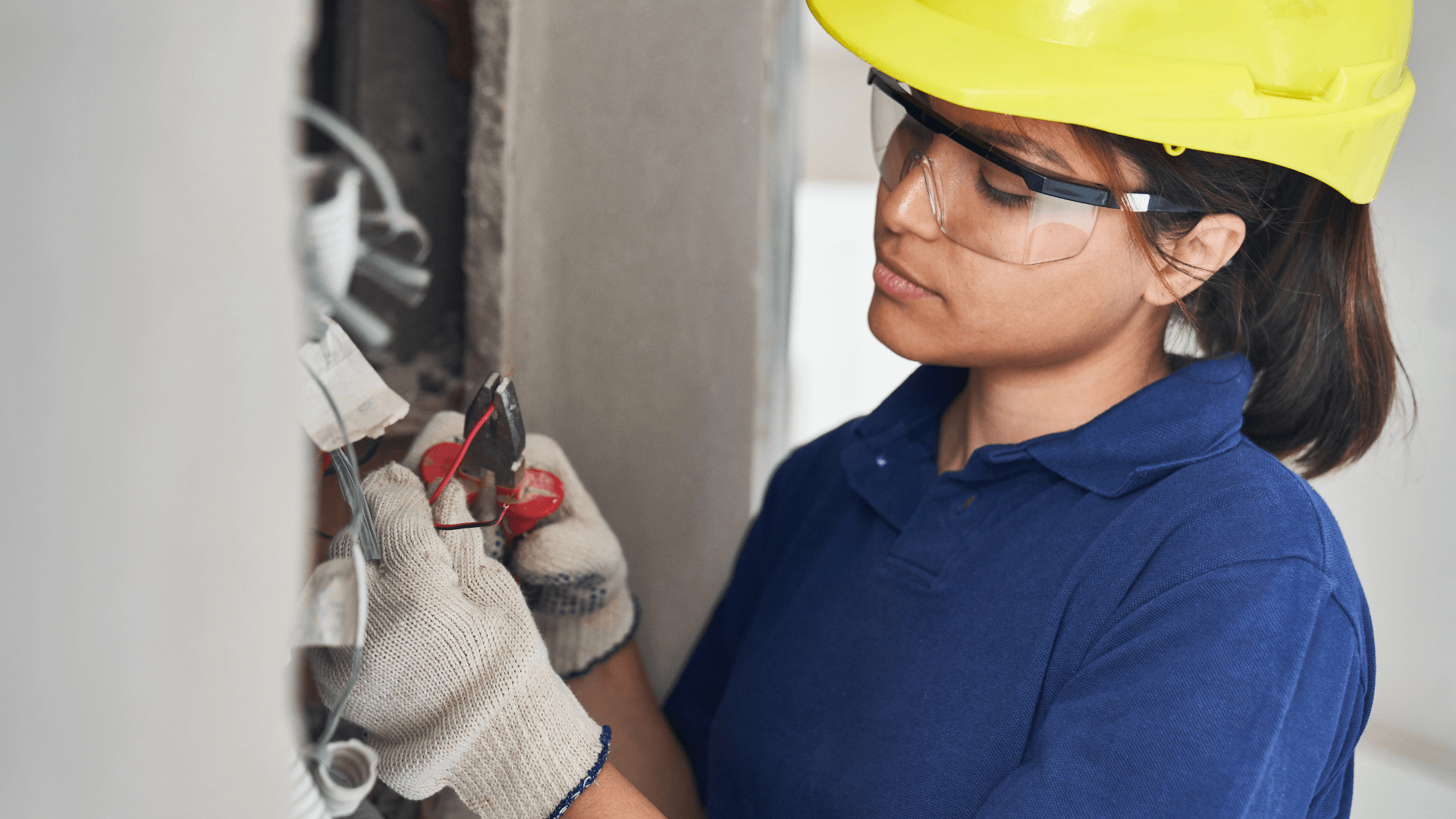 SNAP Employment and Training